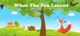 What the fox learnt